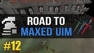 OSRS Ultimate Ironman (Road to Max) #12 - Warriors Guild Unlocked / Defender Grind