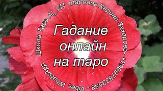 Скучает ли? Что чувствует? Появится ли в ближайший месяц?