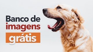 7 Banco de Imagens Grátis para você Baixar Imagens!