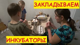 Закладываем инкубаторы / Купили второй инкубатор / Инкубатор несушка на 104 яйца