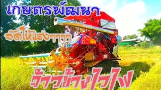 #รถเกี่ยวข้าวเกษตรพัฒนา#จ้าวช้างไวไฟ แรงจัด Combine harvesters