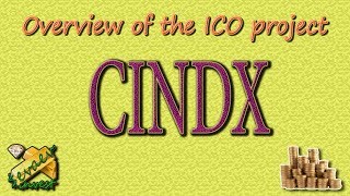 CINDX / ICO overview of the company.