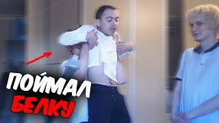 Бухарь-Валентин снова ловит белок | Коротко о 19.06(3)