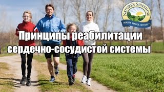 Реабилитация сердечно-сосудистой системы, здоровье сердца и сосудов