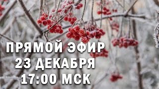 Прямой эфир. 23 декабря в 17:00 МСК