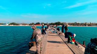 Рыбалка в Анапе на море с берега видео в октябре 2015 лов Саргана