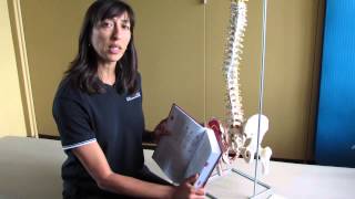 Scoliosis Strategies/Part 1