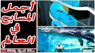 ? أجمل 6 مسابح خيالية لن تصدق وجودها في العالم ?