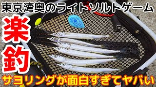 サヨリ釣り 今年は流行る！？アジングロッドでサヨリング　東京湾奥ライトゲーム