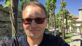 Ресвератрол и Ресвега: как виноград оберегает сетчатку, Голубев С.Ю.