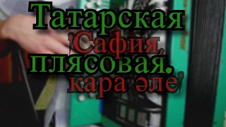 Татарская плясовая "Сафия, кара әле" на гармони.