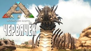 ARK: Scorched Earth СТРИМ ЧЕРВЯЧЁК