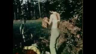 Le Gote in Fiamme (1967) di Ugo Nespolo - Italian Video Art by Film&Clips