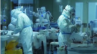 Цви Маген: Дайте армии победить коронавирус