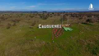 Vive Cauquenes