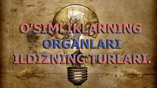 O'simliklarning Organlari. Ildizning Turlari.