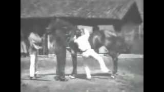 La Voltige 1895
