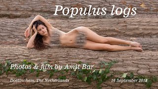 Populus Logs by Amit Bar