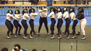 NC A&T - Tau Beta Sigma (Theta Zeta Chapter) Probate 3.4.2017
