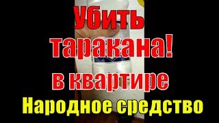 Как избавиться от тараканов в квартире (lifehack)