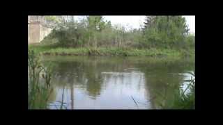 05-15-14 - All the latest trout catches in the last month...