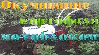 Окучивание картофеля мотоблоком Нева мб 23