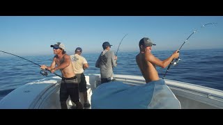 TackleDirect Pro Staff Series: Tuna Mayhem ft. Shore Catch Guide Service