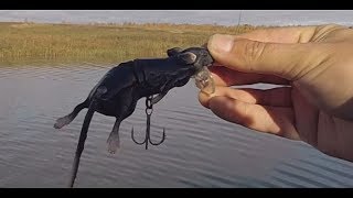 Ловим щуку на новом озере - Осенний жор щуки)))
