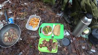 Поход в лес за грибами в январе. Зимние опята. Обед в лесу.
