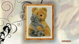 Вышивка крестом котов.  Подборка схем