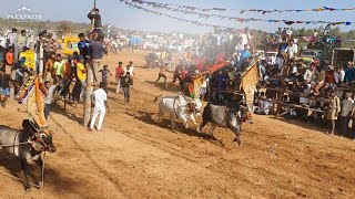 Palavanapalli Jallikkattu 2020 || Demo Videos ||  பலவனப்பள்ளி ஜல்லிக்கட்டு 13-02-2020
