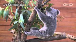 埼玉県こども動物自然公園【埼玉県公式観光動画】