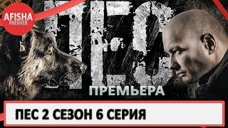 Пес 2 сезон 6 серия анонс (дата выхода)