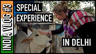 NOT MANY TOURISTS GET TO SEE ANY OF THIS!! | India Travel Vlog #3