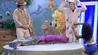 Dançou, Gatinho- Rodrigo Faro encara o perigo e dá beijão em jacaré 02/03/2013