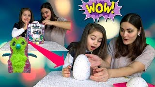 Hatchimals  Хэтчималс интерактивный питомец  Обзор