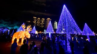 2020台灣燈會在台中  2019.12.22 文心森林公園