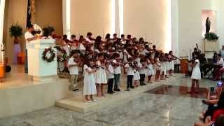 Concerto Tropical de Natal - 2014 - Pinheirinho que Alegria - Prof. Suray Soren