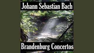 Brandenburg Concerto No- 5 in D Major, BWV 1050 I- Allegro