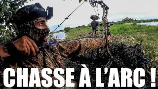 Chasse à l'Arc - Des Affûts Réussis ! Bow Hunting (ENG SUB) - Marius Chasse