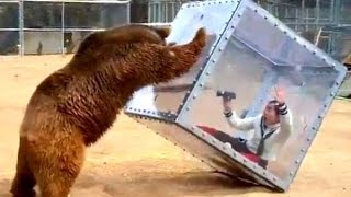 Топ самых ужасных случая нападения животных в зоопарке на людей!