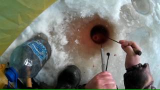 КРУПНЫЙ ЛЕЩ не вошёл в 130-тую лунку! Фрагмент видео "Отличная зимняя рыбалка"