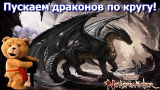 Neverwinter - Пускаем драконов по кругу;)