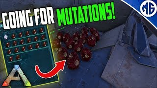 MASS HATCHING TEK REXES! Small Tribe Servers Official PvP Ep 15 - Ark: Survival Evolved