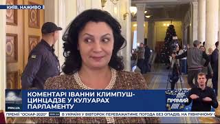 Мені соромно, що президент боїться скористатись порадами фахових людей - Климпуш-Цинцадзе