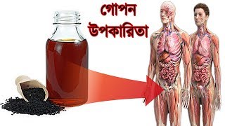টানা ৭ দিন এভাবে কালোজিরা ও কালোজিরার তেল খেলে আপনার শরীরে যে পরিবর্তন ঘটবে জানলে অবাক হবেন