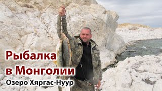 ? Рыбалка в Монголии. Ловля османа. Хяргас-нуур.