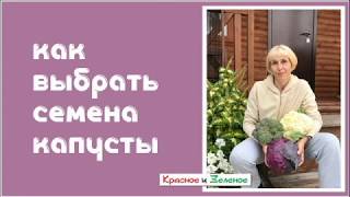 Семена капусты. Как не делать ошибок при покупке.