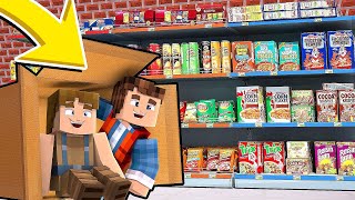 RESTER 24H ENFERMÉ DANS UN MAGASIN SUR MINECRAFT !! ? | (Mcfly Troll)
