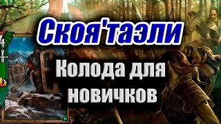 Гвинт: Бюджетная колода Скоя'таэлей для новичков. Гайд.